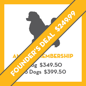 pricing-image-3