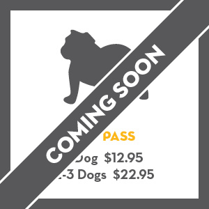 pricing-image-1