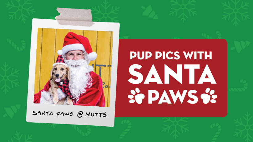 Santa Paws 2025