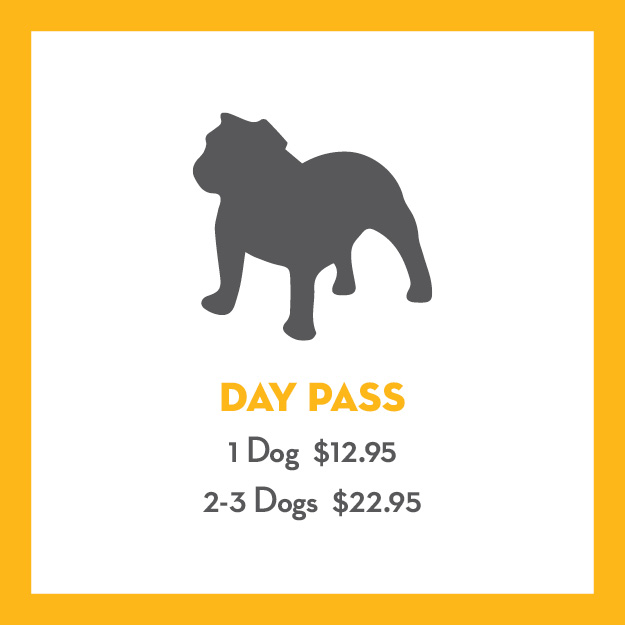 Day Pass