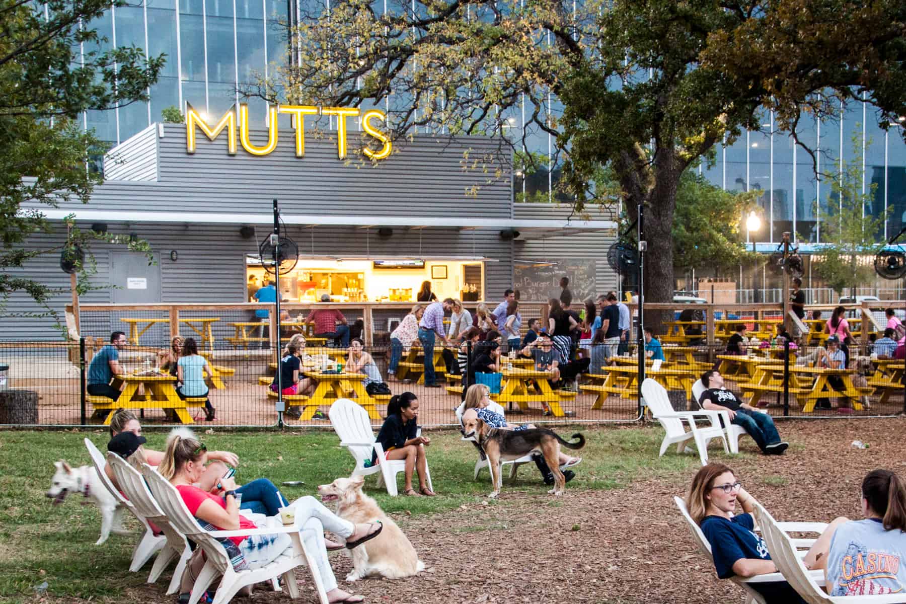 Find A Dog Friendly Bar Near You MUTTS Canine Cantina